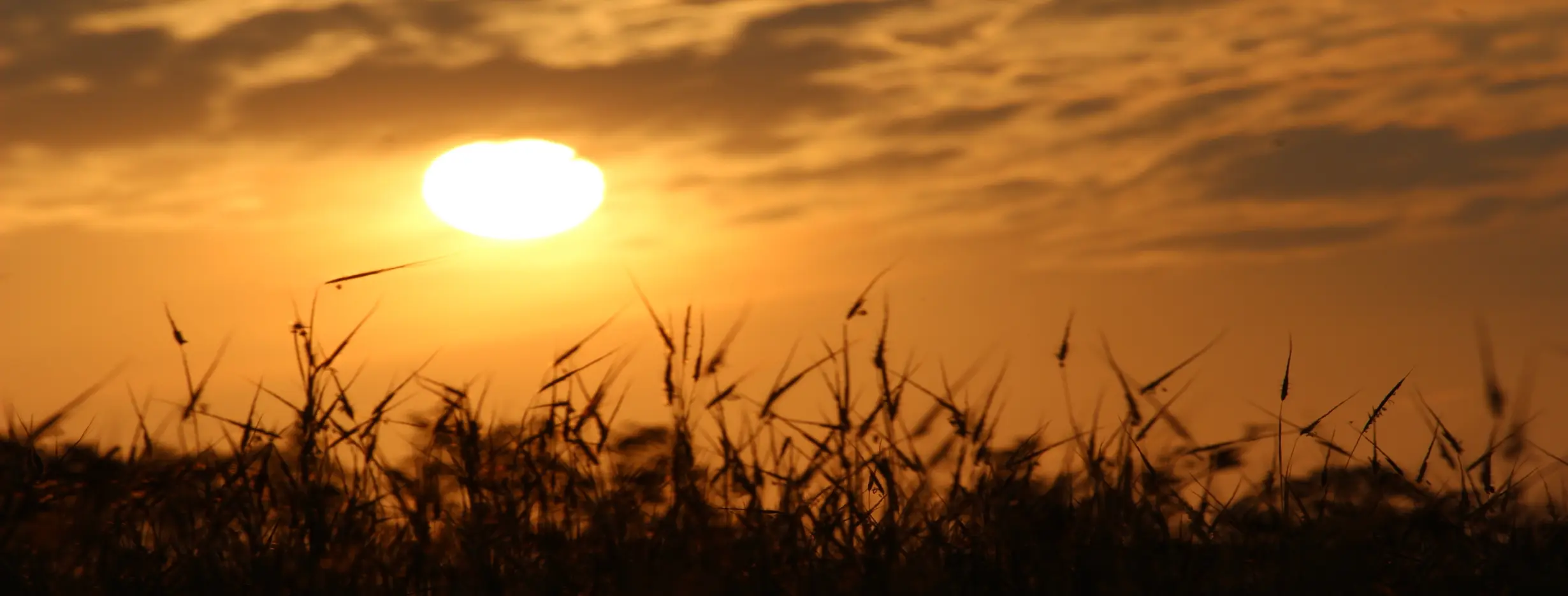 Image for Sunset Sanctuary